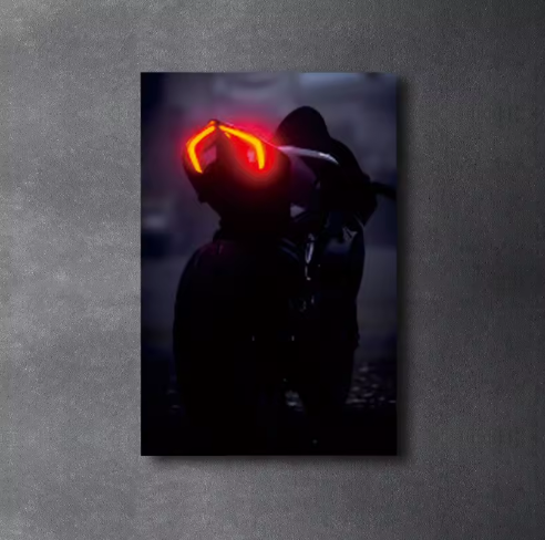 Ducati Panigale V4 Tailight